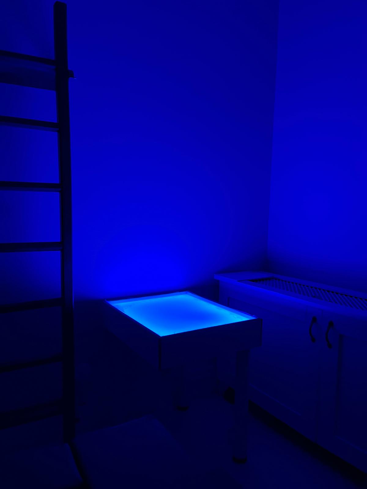 Bahçeşehir Dil Konuşma ve Ergoterapi Merkezi bireylerin bilişsel,fiziksel,sosyal-duygusal gelişim alanlarındaki becerilerini destekleyerek günlük yaşam kalitelerini arttırmaya ve pediatrik terapi hizmetlerini sağlamayı amaçlamaktadır.